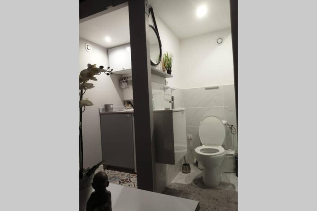 Apartmán Studio Cosy Avignon Exteriér fotografie